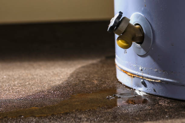 Best Residential water damage restoration  in Ogden, NC