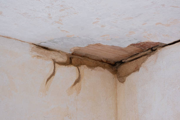 Best Local water damage restoration  in Ogden, NC