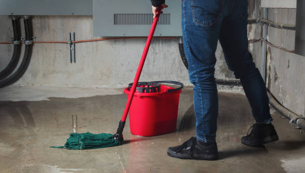 Carpet water damage restoration in Ogden, NC