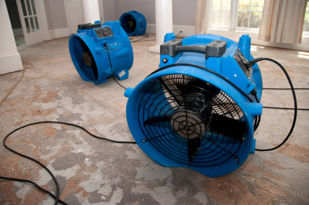 Best 24-hour water damage restoration  in Ogden, NC