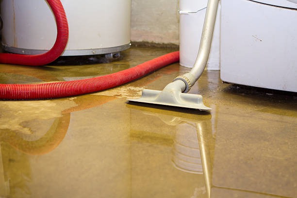 Best Basement water damage restoration  in Ogden, NC