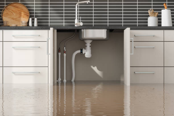 Best Flood restoration services  in Ogden, NC
