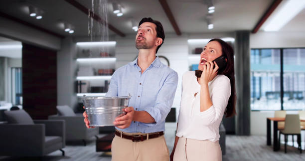 Best Commercial water damage restoration  in Ogden, NC