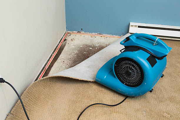 Best Flood damage cleanup  in Ogden, NC